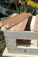 Top bar hive with inspection window - note the triangular top bars